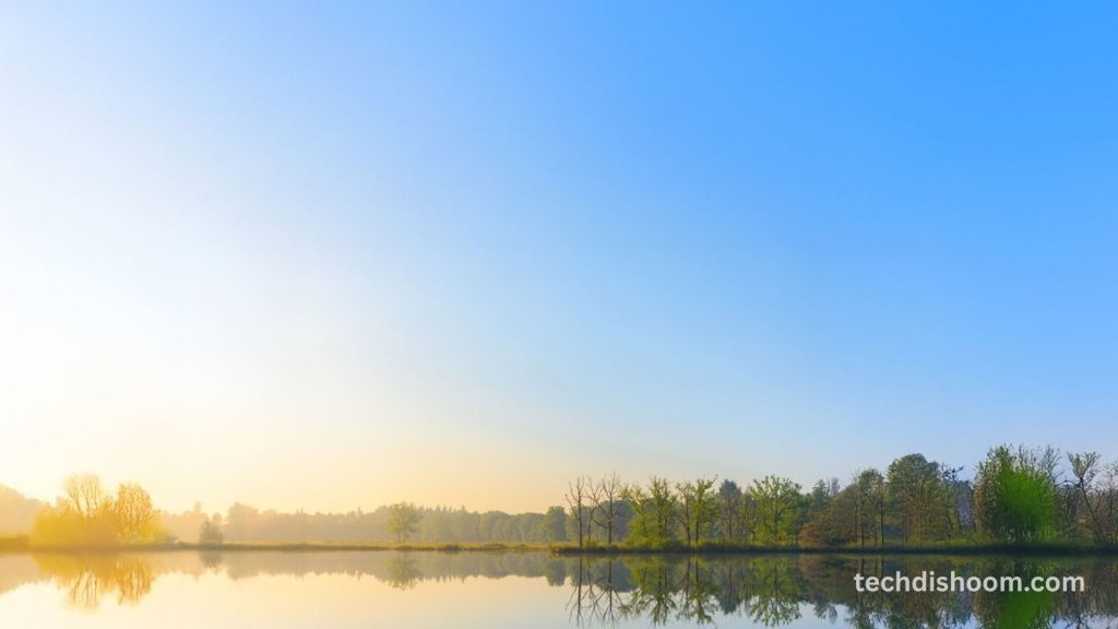 How Technology Helps You Discover Nature in New Ways