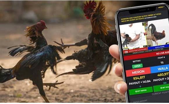 Fun88 Sportsbook – Football Betting and Live Odds