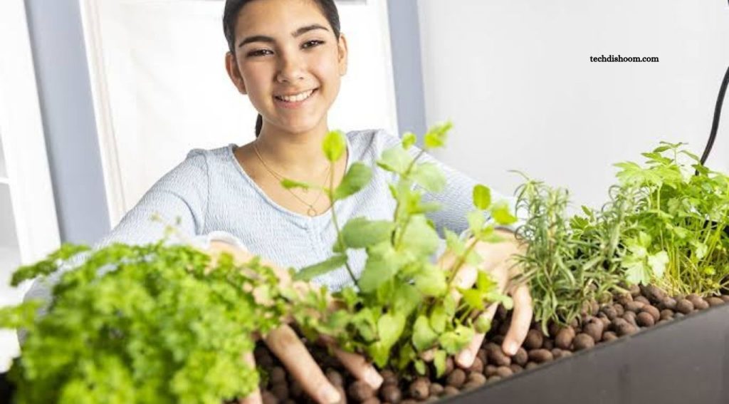 Sustainable Lifestyle Changes Anyone Can Make